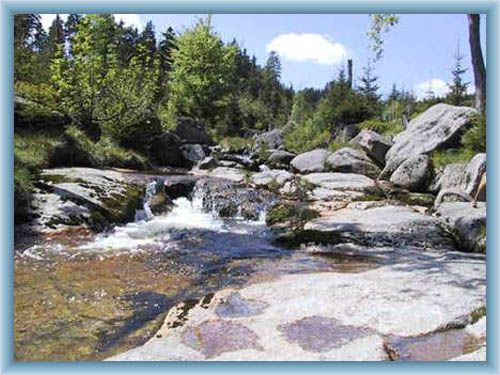 Rapids of the brook