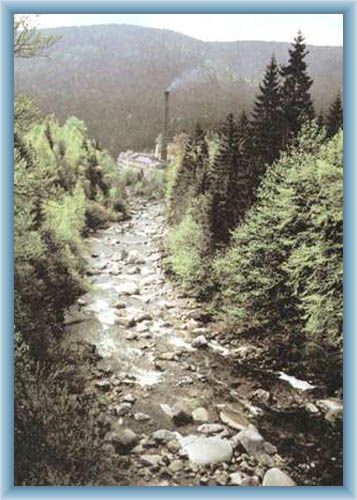 Jizera near the Ko�enov