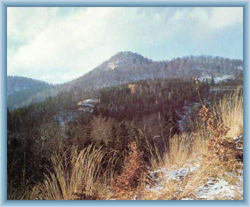 Old�ichovsk� �pi��k