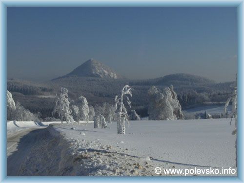 Polevsko