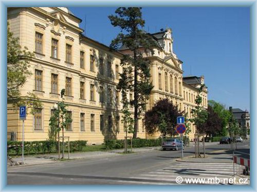 Mlad� Boleslav