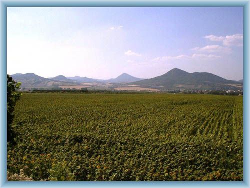 Middle Mountains near Lovosice