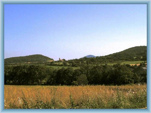Tvrd�n