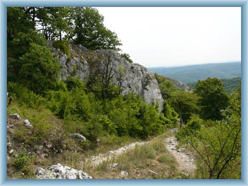 Natural reservation D�v�n