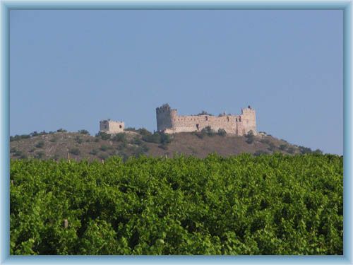 Ruin of castle D�v�� hrad