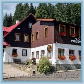 Mountain guest-house Mileta