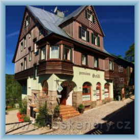 Mountain pension Seidl***