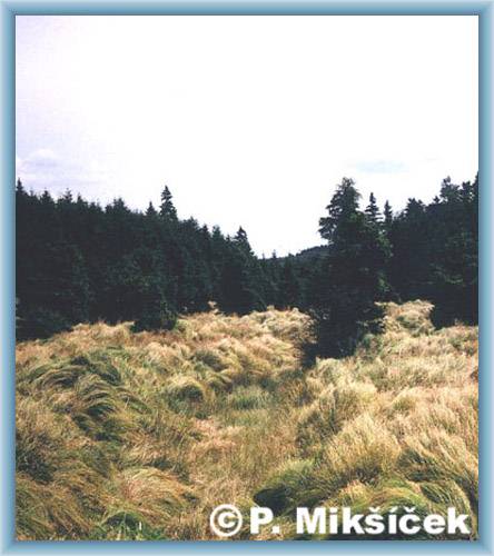Valley Bezru�ovo �dol�