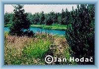 Pond �ern� rybn�k