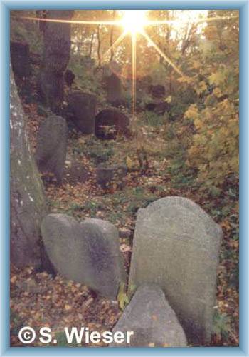 Jewish cemetery in Kyn�perk