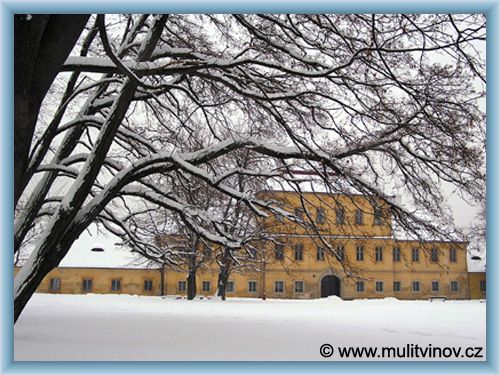 Litv�nov - Chateau