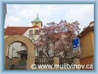 Litv�nov