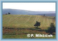 Sight from the Mn�ek