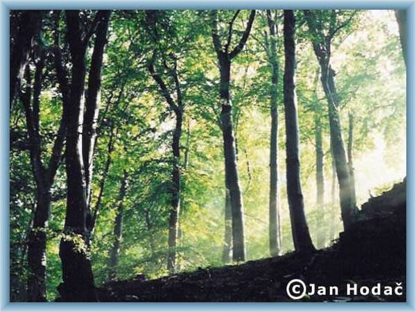 Nature trail Osek