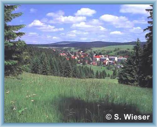 Pernink