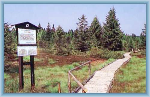 Bo�idarsk� peat-bog