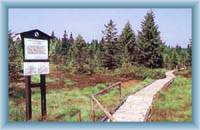 Bo�idarsk� peat-bog
