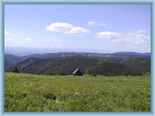 Mountain Neklid