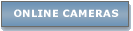 Online cameras