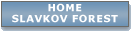 Home Slavkov Forest