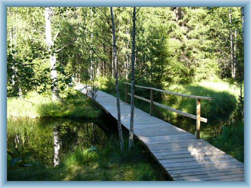 Nature trail Kladsk�