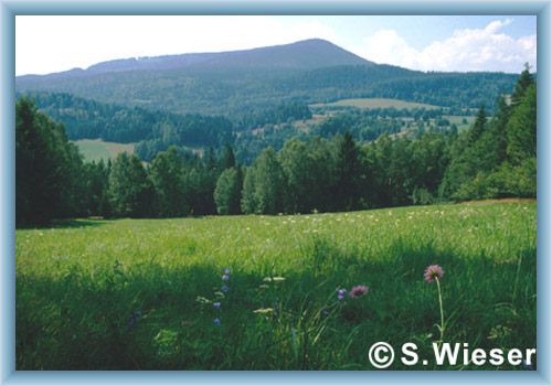 Mountain Bob�k