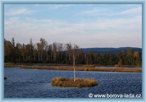 Borov� Lada - Chalupsk� peat-bog