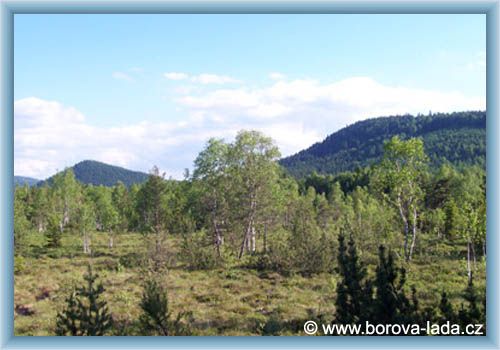 Borov� Lada - Chalupsk� peat-bog