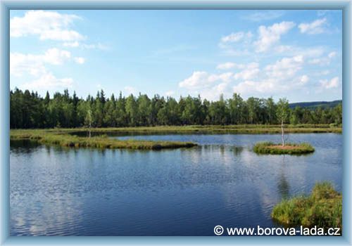 Borov� Lada - Chalupsk� peat-bog