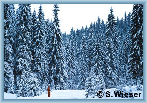 Near Chur��ov
