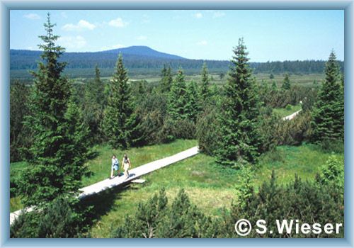 Peat-bog Jezern� sla�