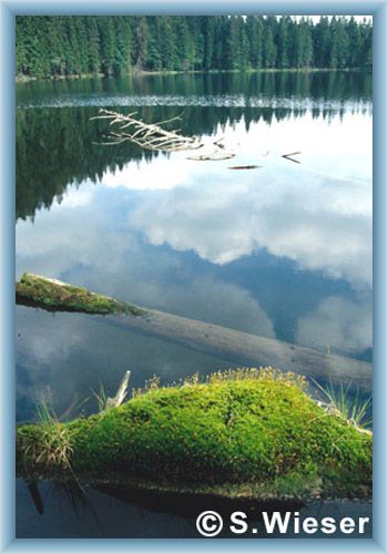 Lake Pr�ilsk� jezero