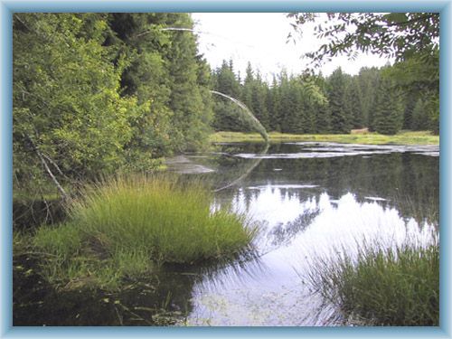Lake Jelen� jez�rko
