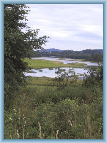 Surroundings of dam lake Lipno