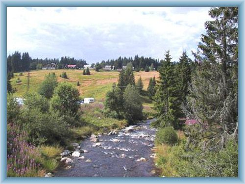 River Vydra in Modrava
