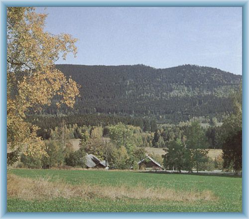 Mountain Boub�n
