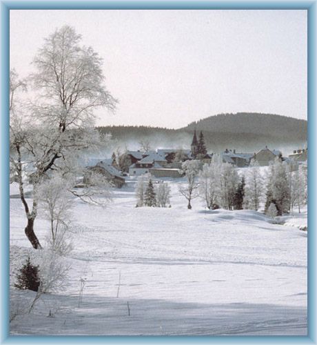 Winter near Kvilda
