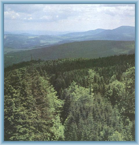 Sight of Blatensk� les and mountain Kle� from Lib�n