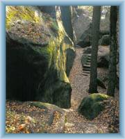 Entrance into the labyrinth