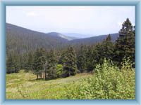 Jeseníky mountains from Ovčárna