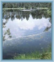 Lake Velké mechové jezírko in reserve Rejvíz