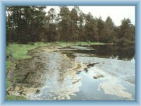 Lake Velké mechové jezírko in reserve Rejvíz