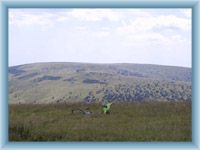 Sight of Ovčárna from mountain Praděd in summer