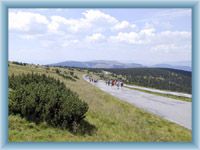 Road to mountain Praděd
