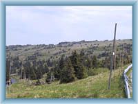 Table rocks near Praděd