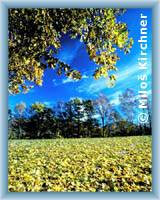 Autumn at Bílý Potok