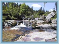 Rapids of the brook