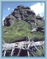 Rock on the top of mountain Jizera