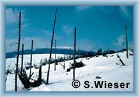 Under Svorová mountain in 1982