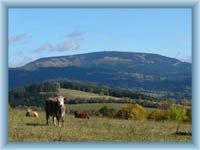 Černá mountain from Kněžice